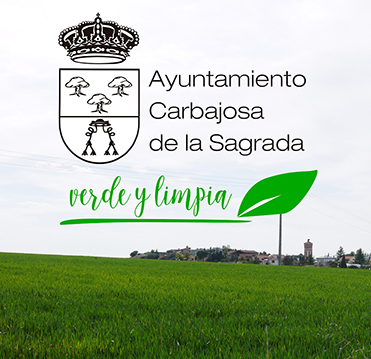 Recogida de Voluminosos